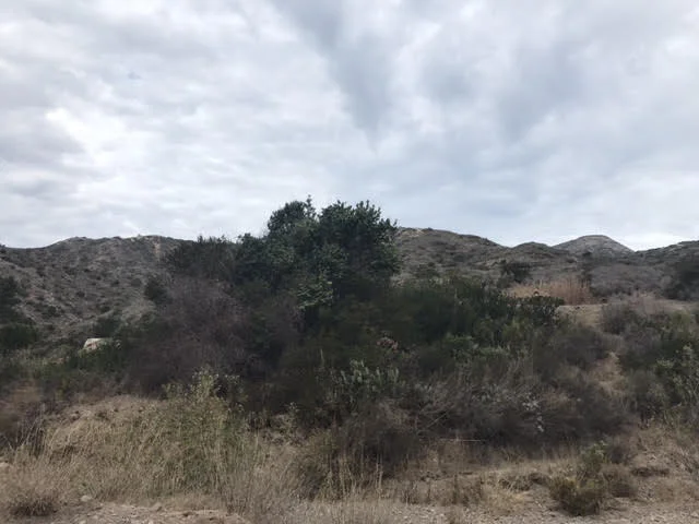Catalina Hills Number 13.jpg