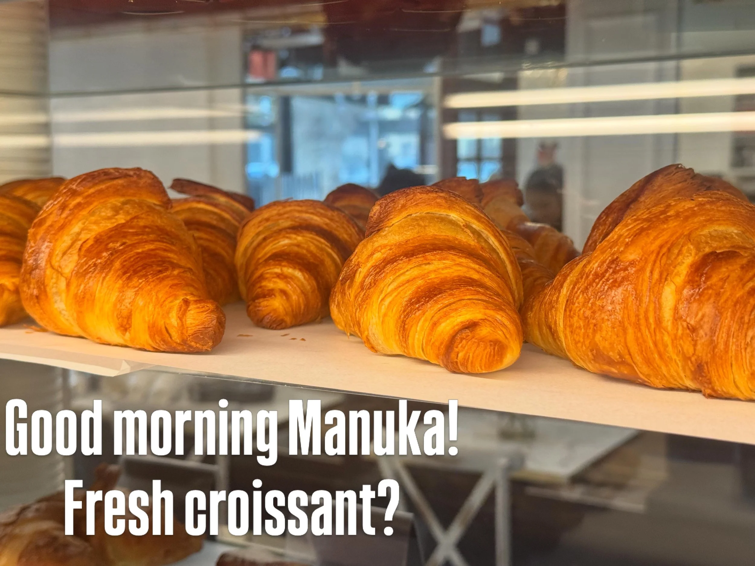 Fresh croissants @lorangepatisserie on the lawns #croissant #manukalawns