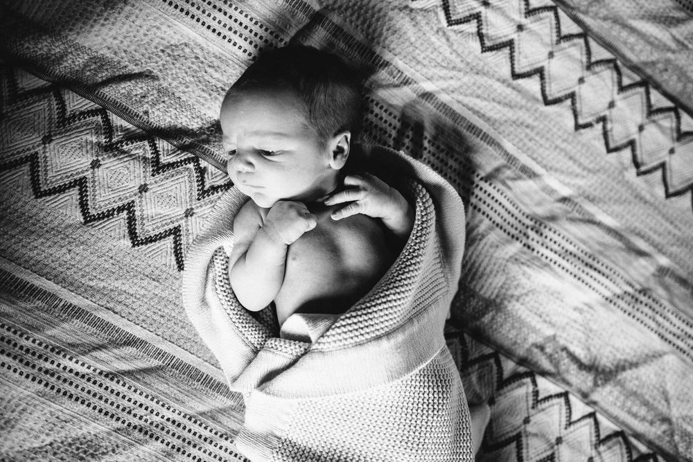 1580d-liam-223.jpg