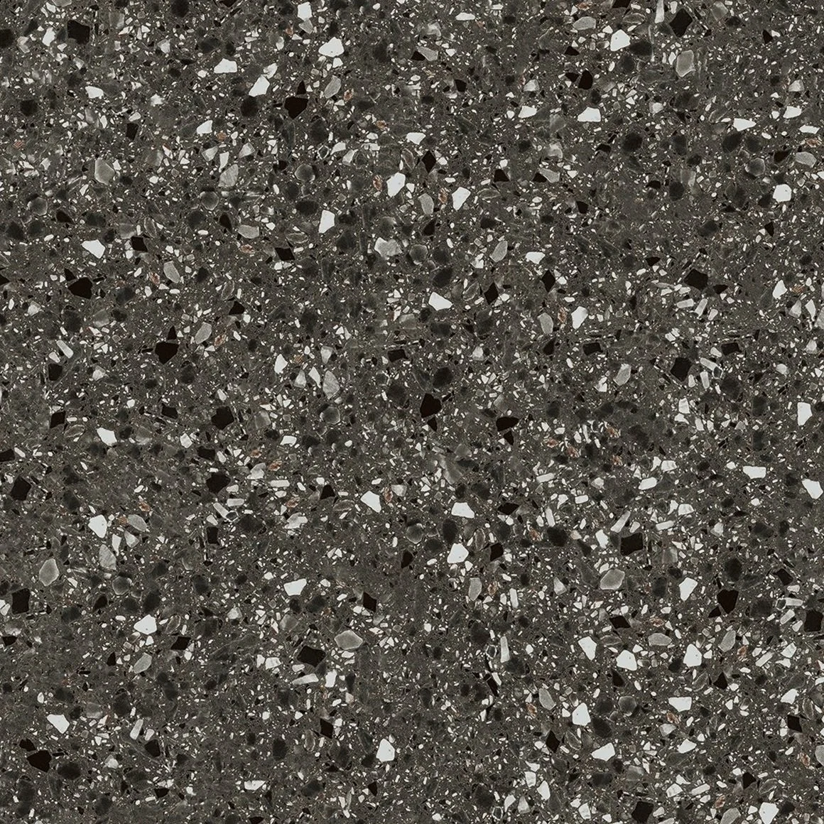 TR22.jpg
