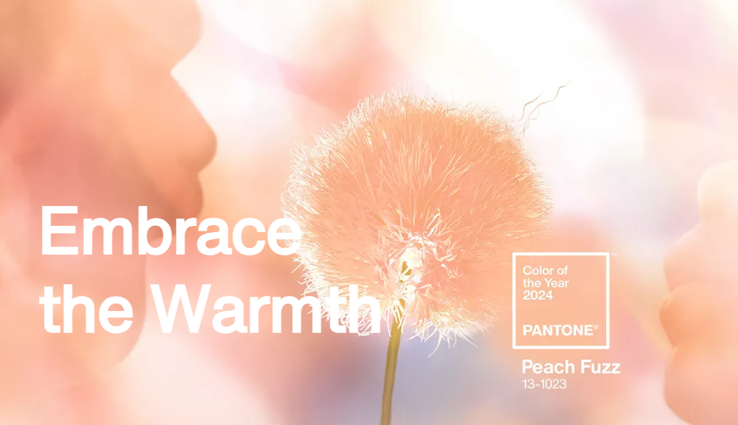 Enhance Interior Design with Pantone’s Colour of the Year