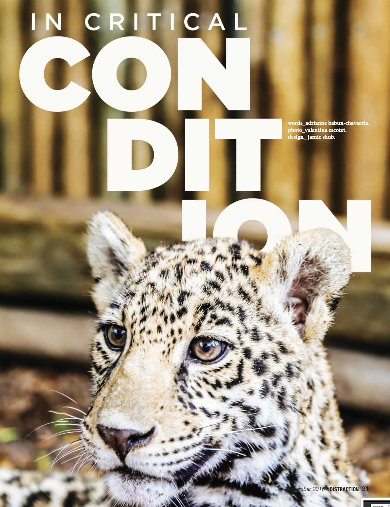 Screenshot 2026-04-11 at 12.18.22 PM.png