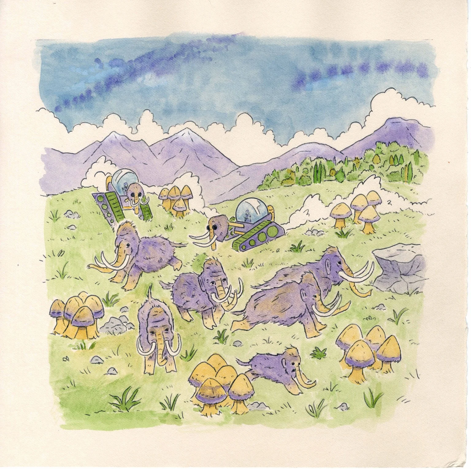 WSA013 - Mammoth Management.JPG