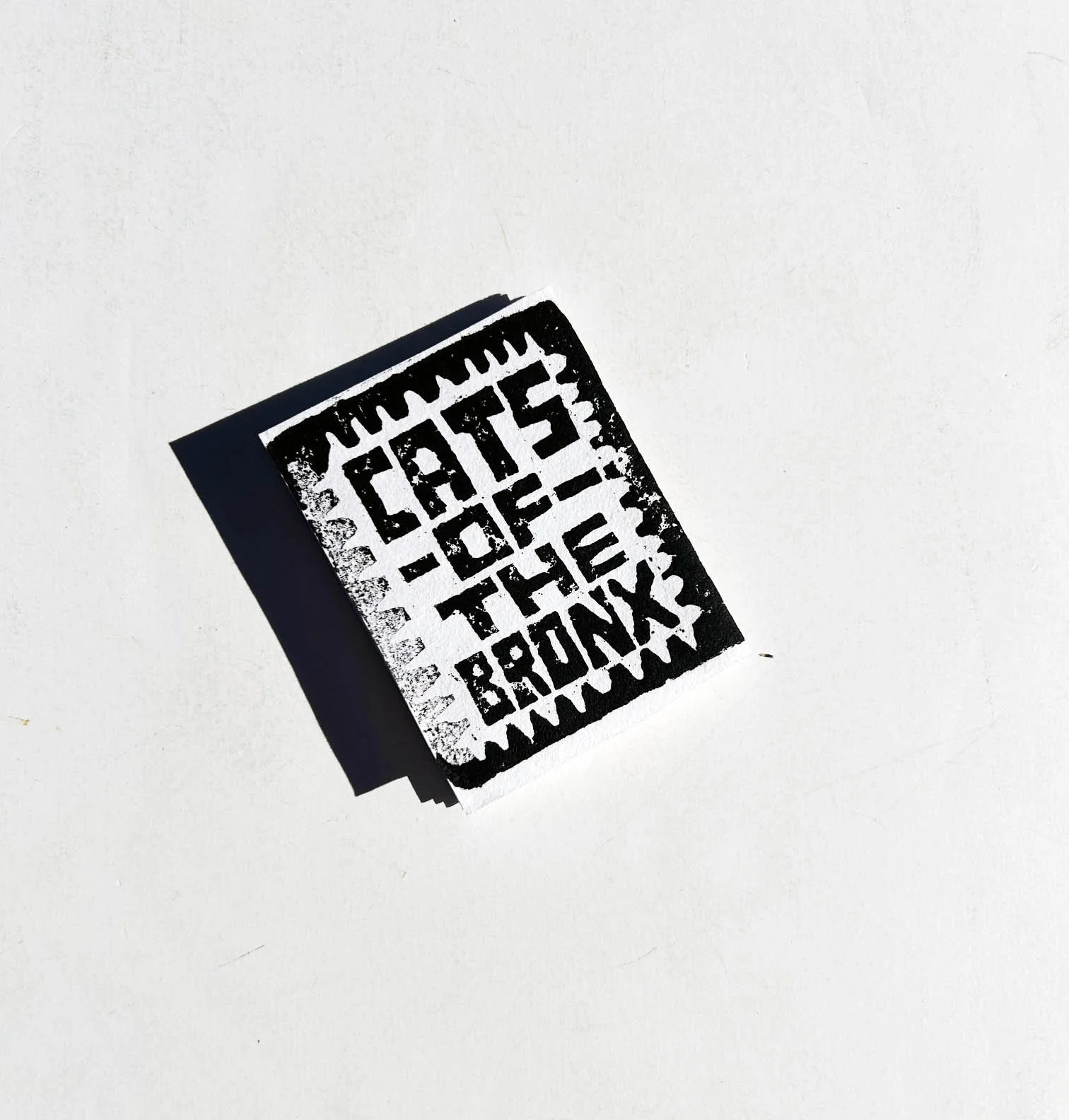 John Vasquez Mejias: Cats of the Bronx