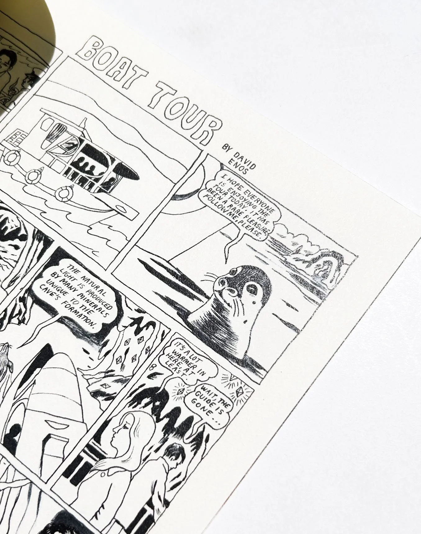 WS1088 view 4.jpeg