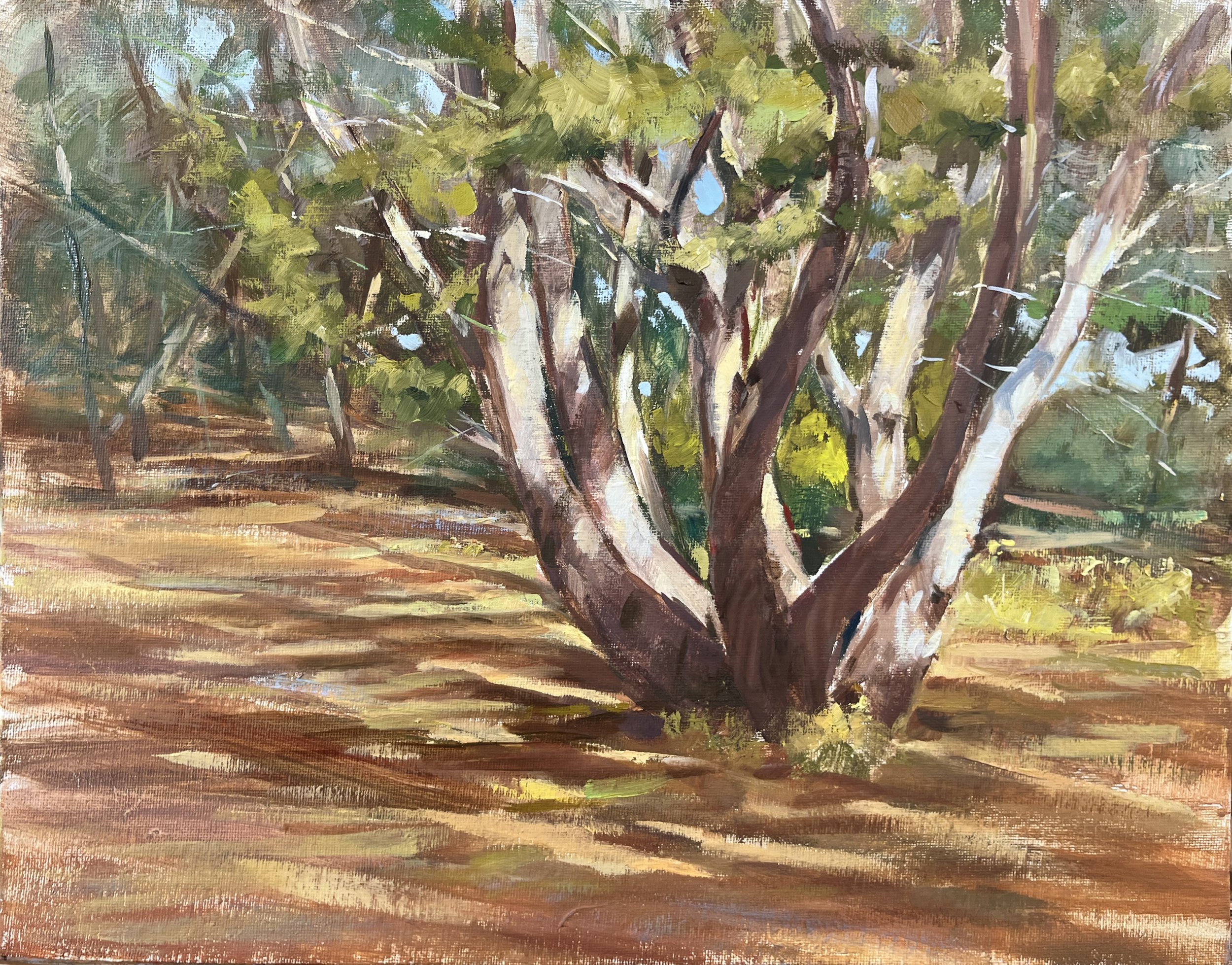 Oil and Acrylics with Paul Gallo