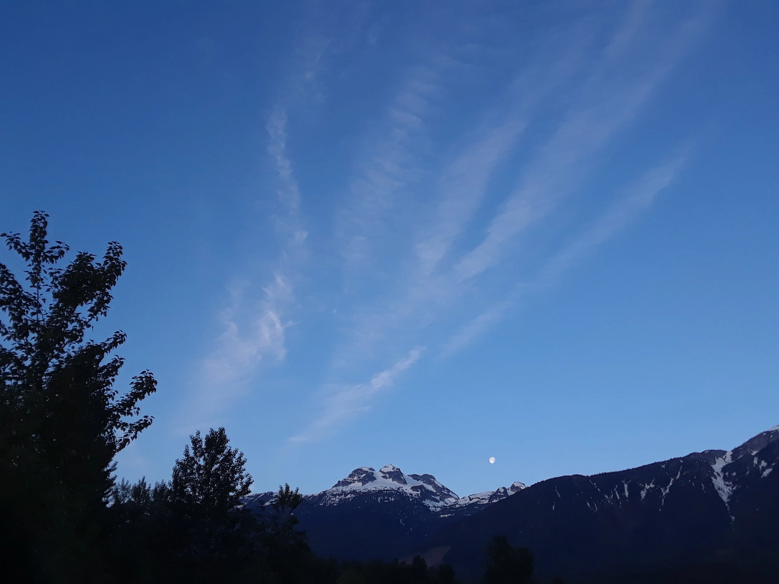 20180601_051317.jpg