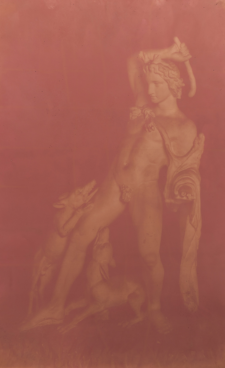    Actaeon attacked by his hounds  , 2016 Anthotype (faded amaranth dye on paper) 79 x 49.5 inches unique 