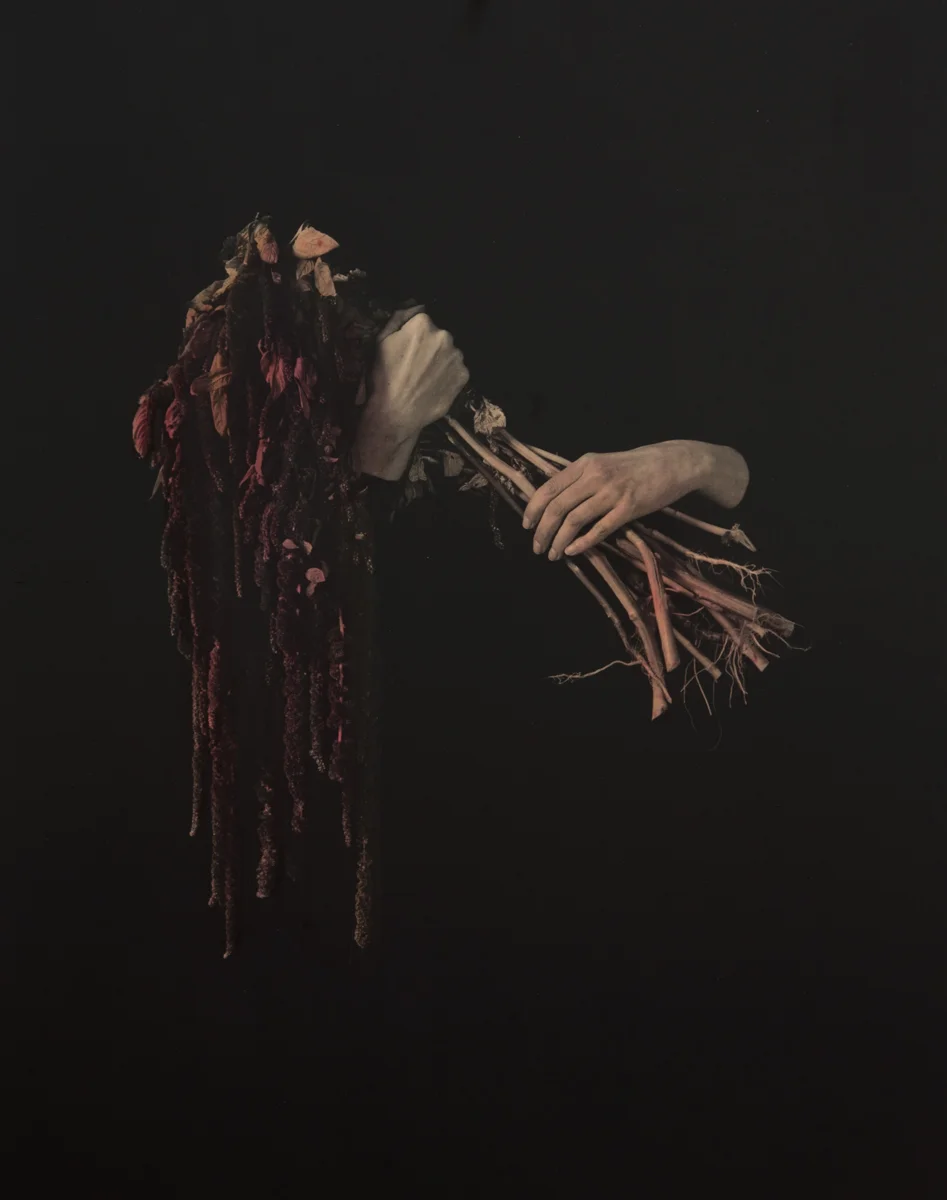Amaranth Extraction I , 2016 Silver gelatin print colored with amaranth dye 17.25 x 13.5 inches Ed: 3 + 2AP