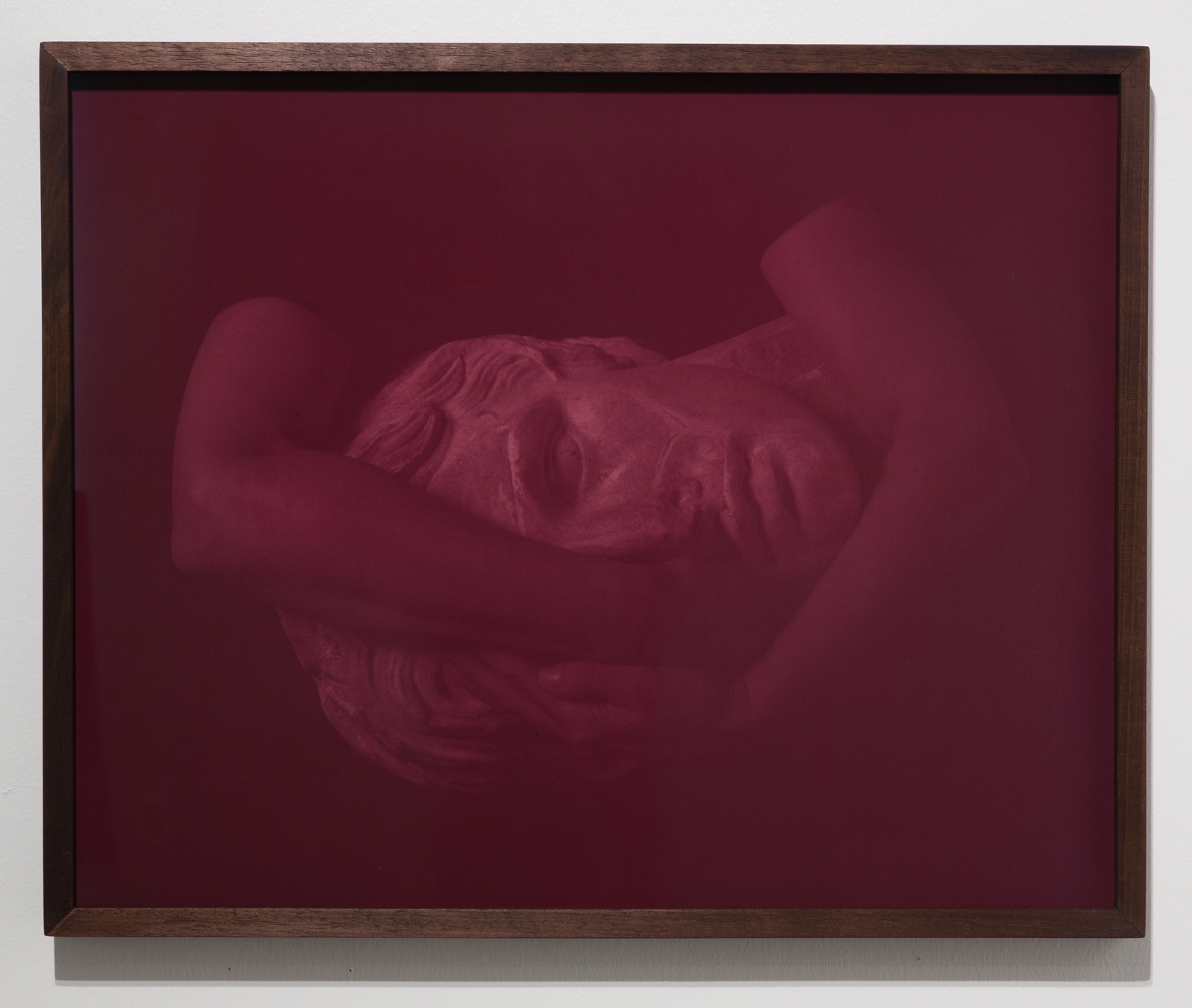 Alexander the Great , 2017 Anthotype (faded dahlia and elderberry on paper) 18.5 x 23 inches Ed: 2 + 1AP