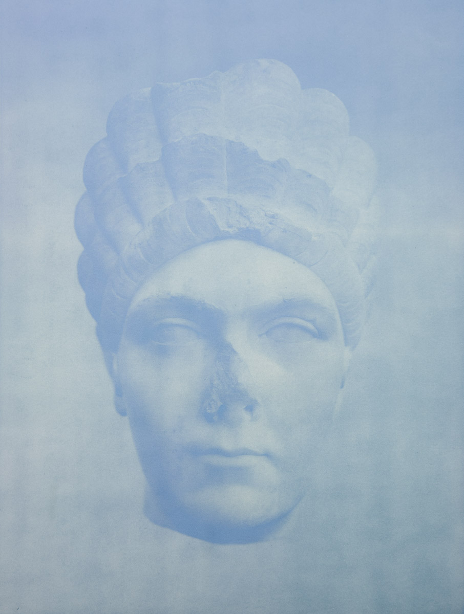    Oracle  , 2014 Anthotype 30.5 x 23 inches Ed: 3 + 2AP 