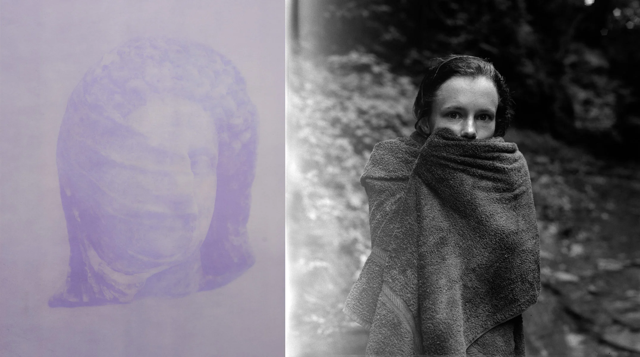 Looking Back (diptych), 2014 Left: Anthotype 27.5 x 22 inches Right: Silver gelatin print 27.5 x 29 inches Ed: 3 + 2AP