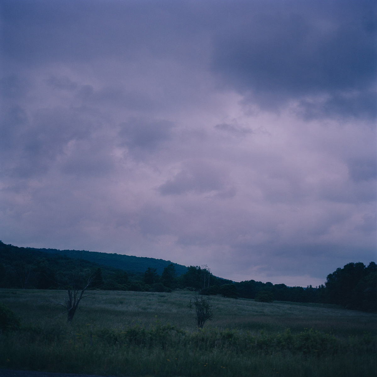 Hunt Hill, 2014 Inkjet print 12 x 12 inches Ed: 3 + 2AP