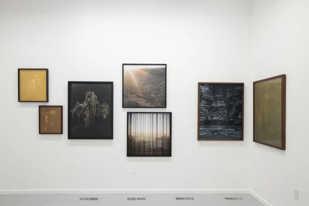 About — CHRISTINE ELFMAN