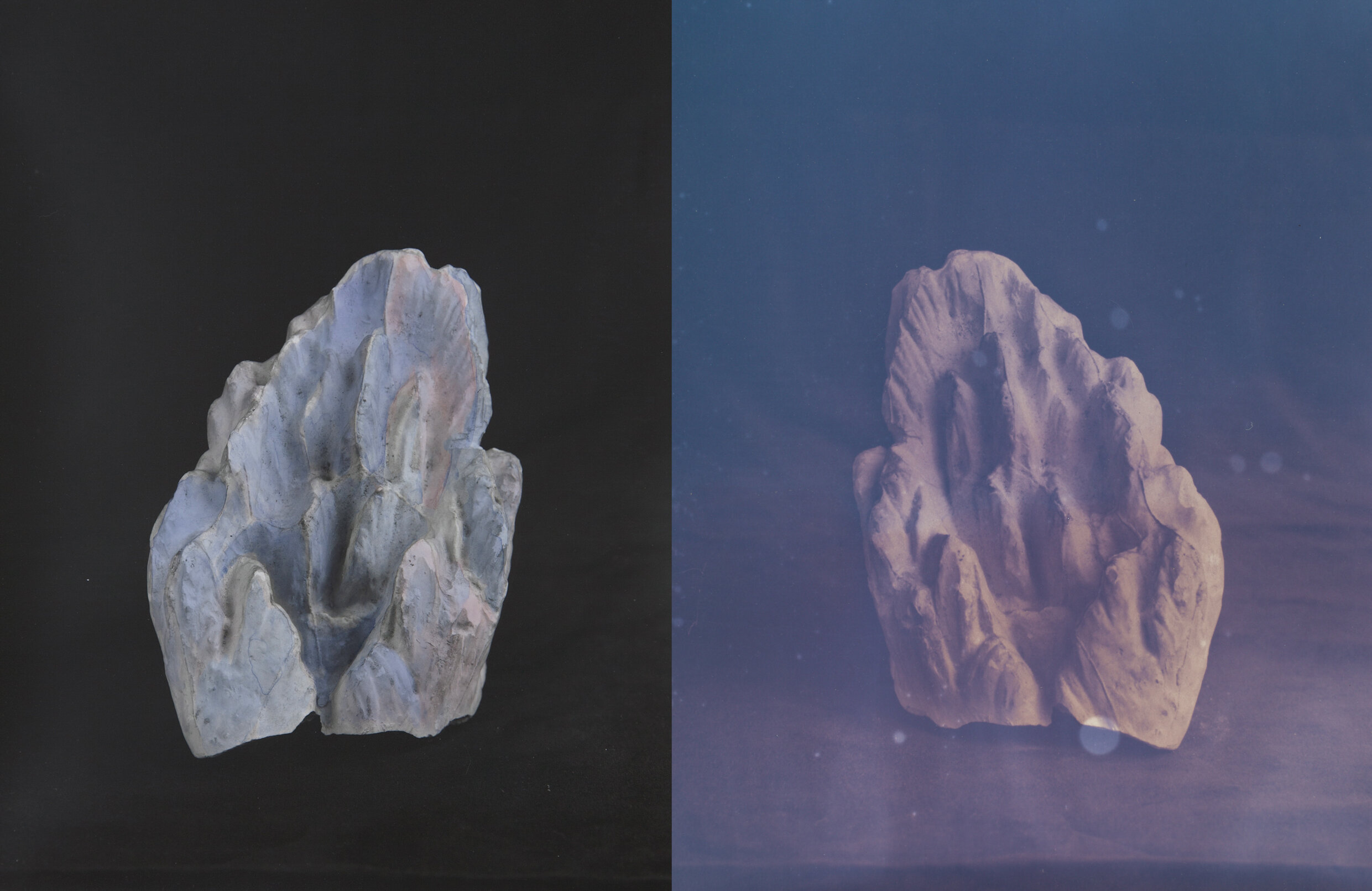    Fragment I   (diptych), 2021 L: Silver gelatin with lichen dye; R: faded lichen dye on paper 11.5 x 9 inches each 