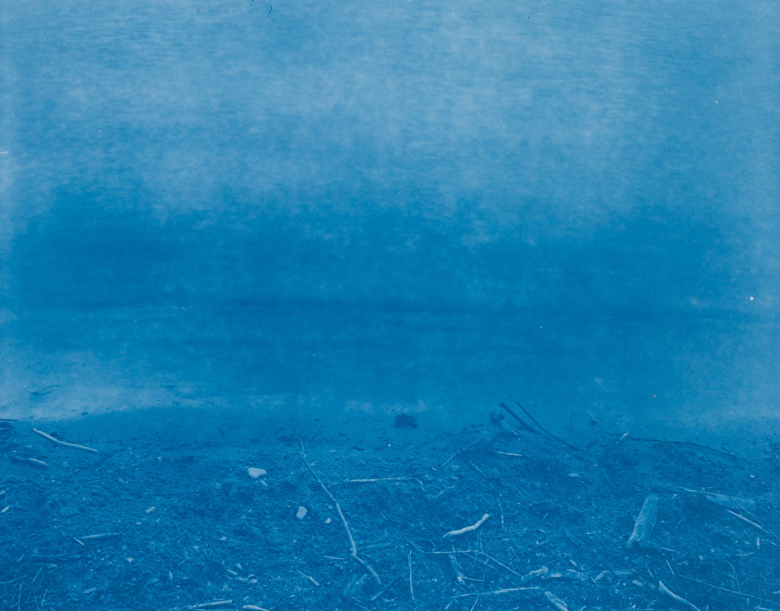    Lake Cayuga II  , 2017 cyanotype  8x10 inches 