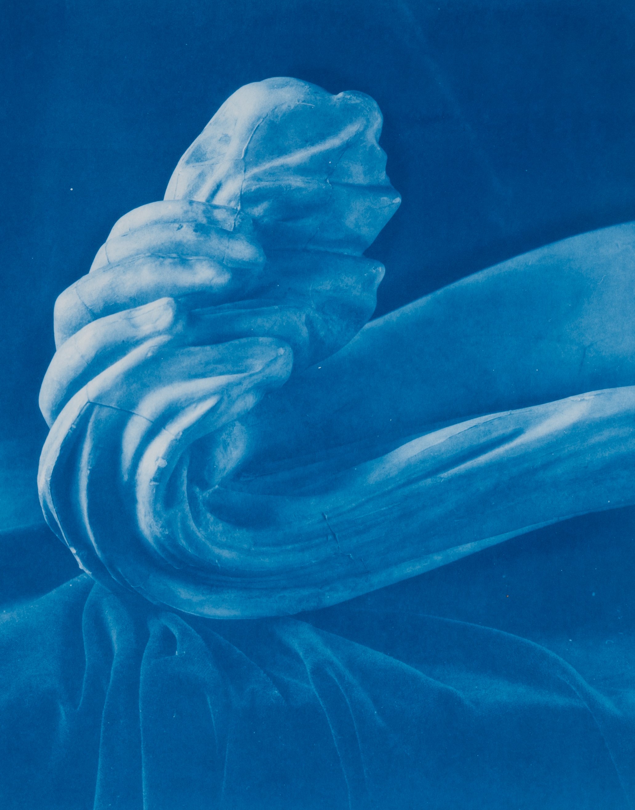   Fragment IV  , 2019 cyanotype 14.5 x 11.5 inches 
