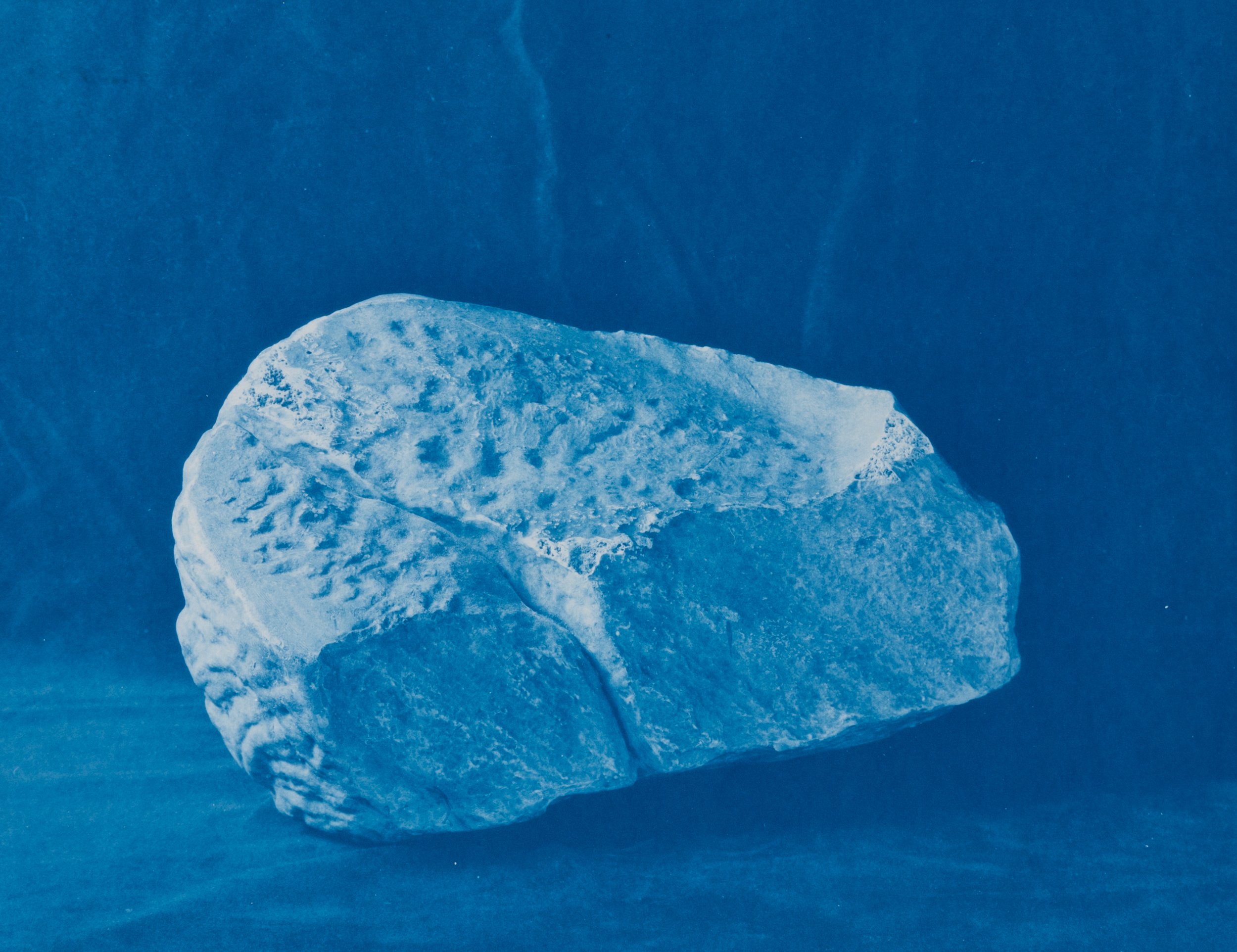    Fragment VII B  , 2019 cyanotype 12 x 15.5 inches 