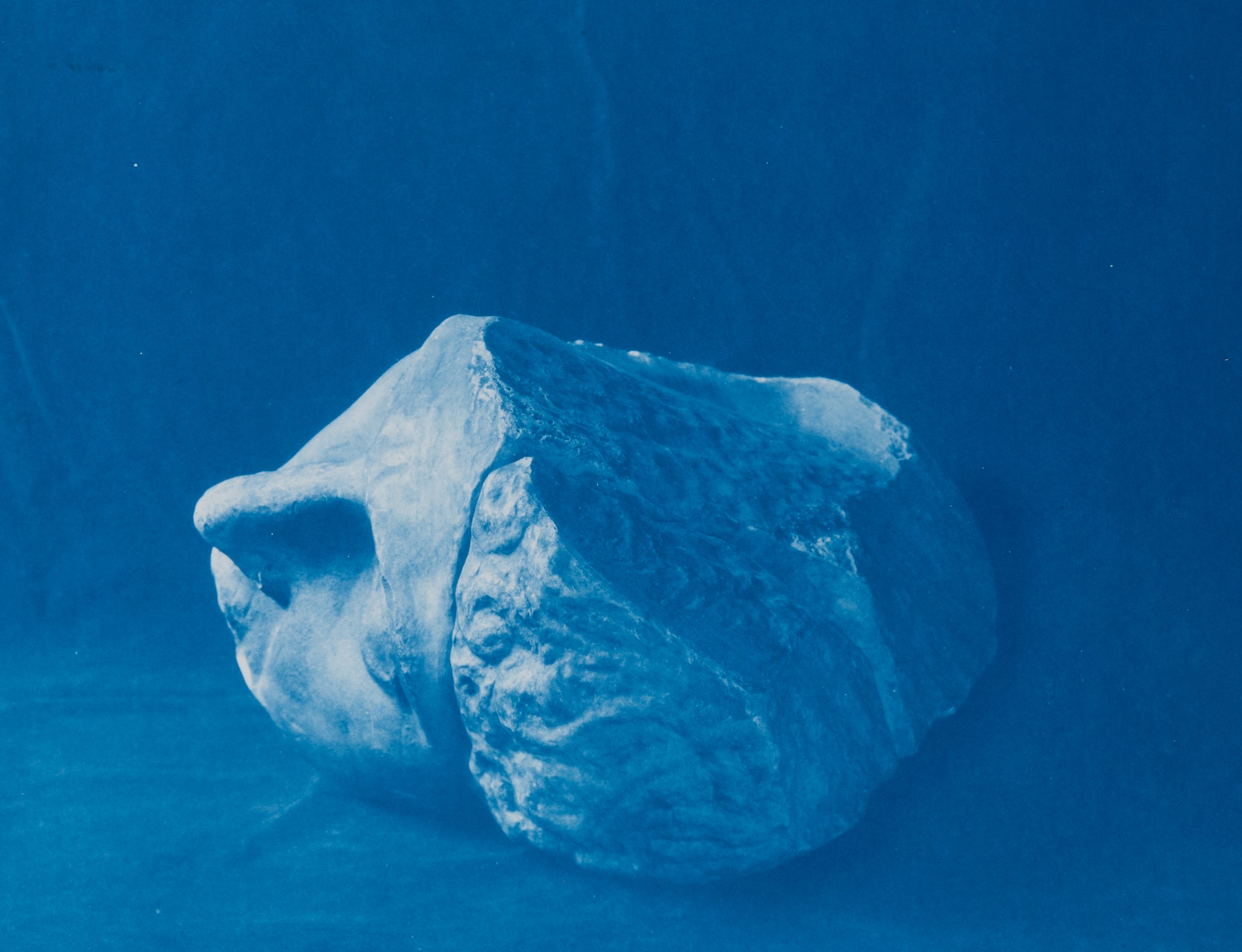    Fragment VII C  , 2019 cyanotype 12 x 15.5 inches 