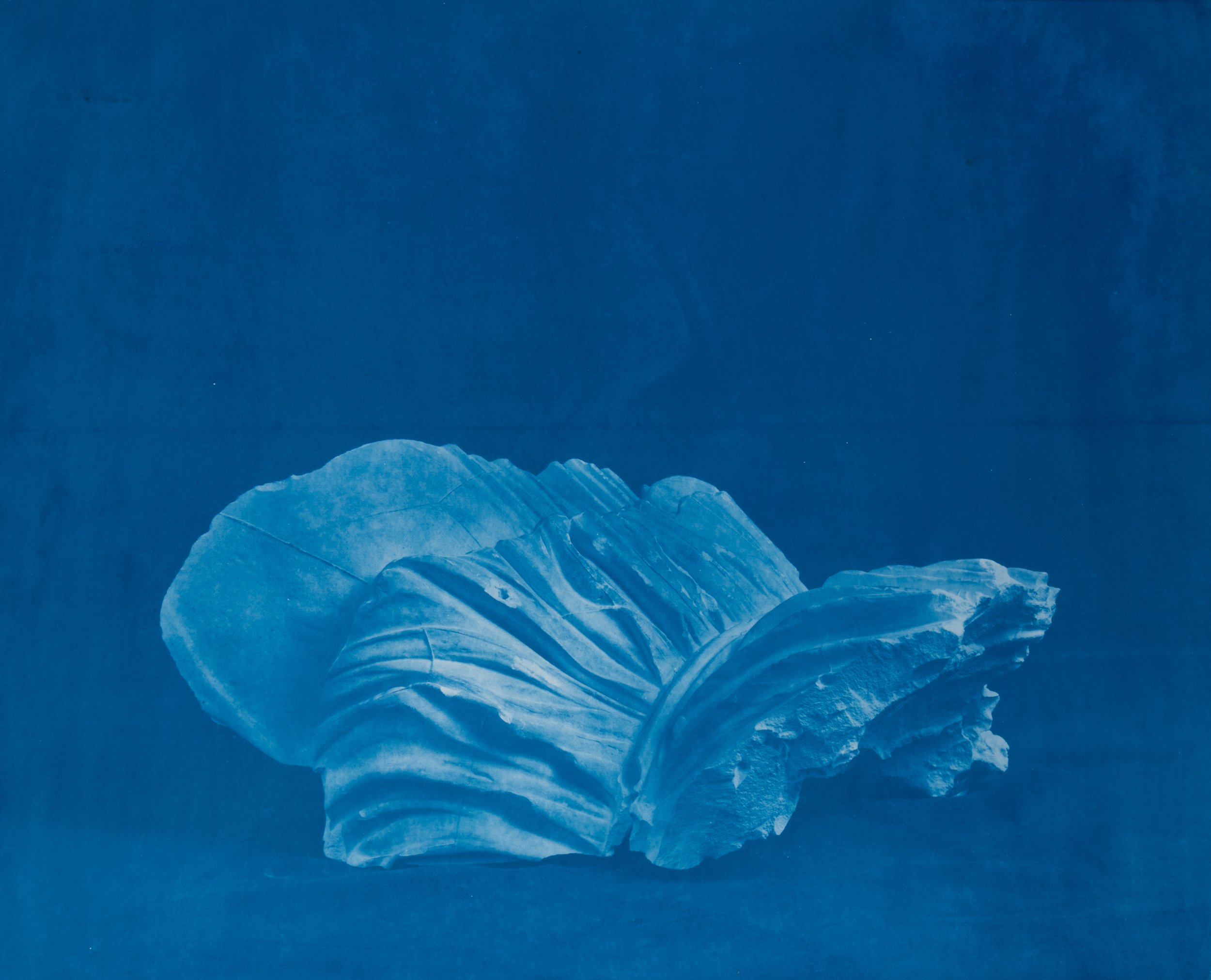    Fragment II  , 2019 cyanotype 24 x 20 inches 