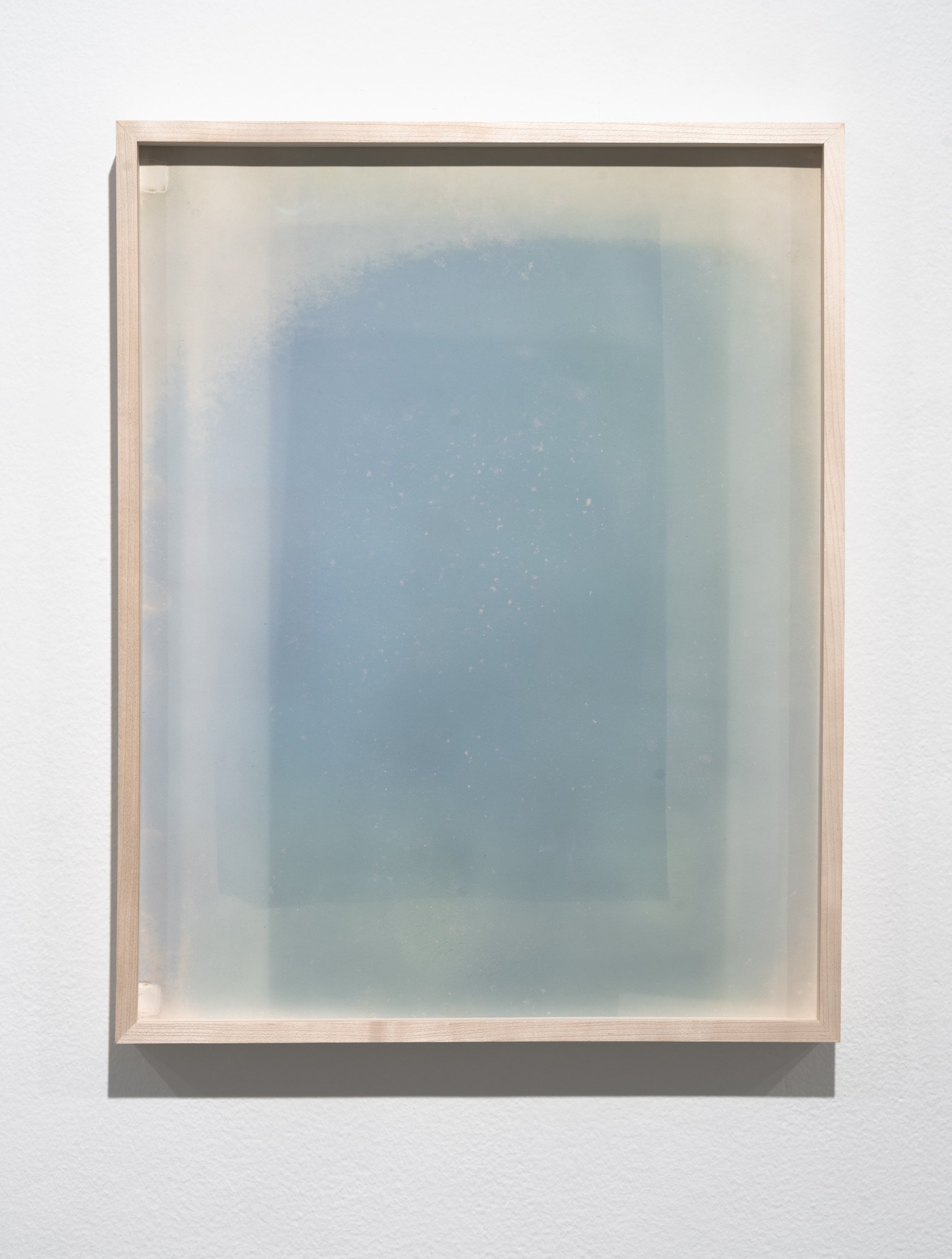    Flux  , 2016-2023 Faded blue ternate flower dye on paper (anthotype) 21 3/4 x 17 inches unique 