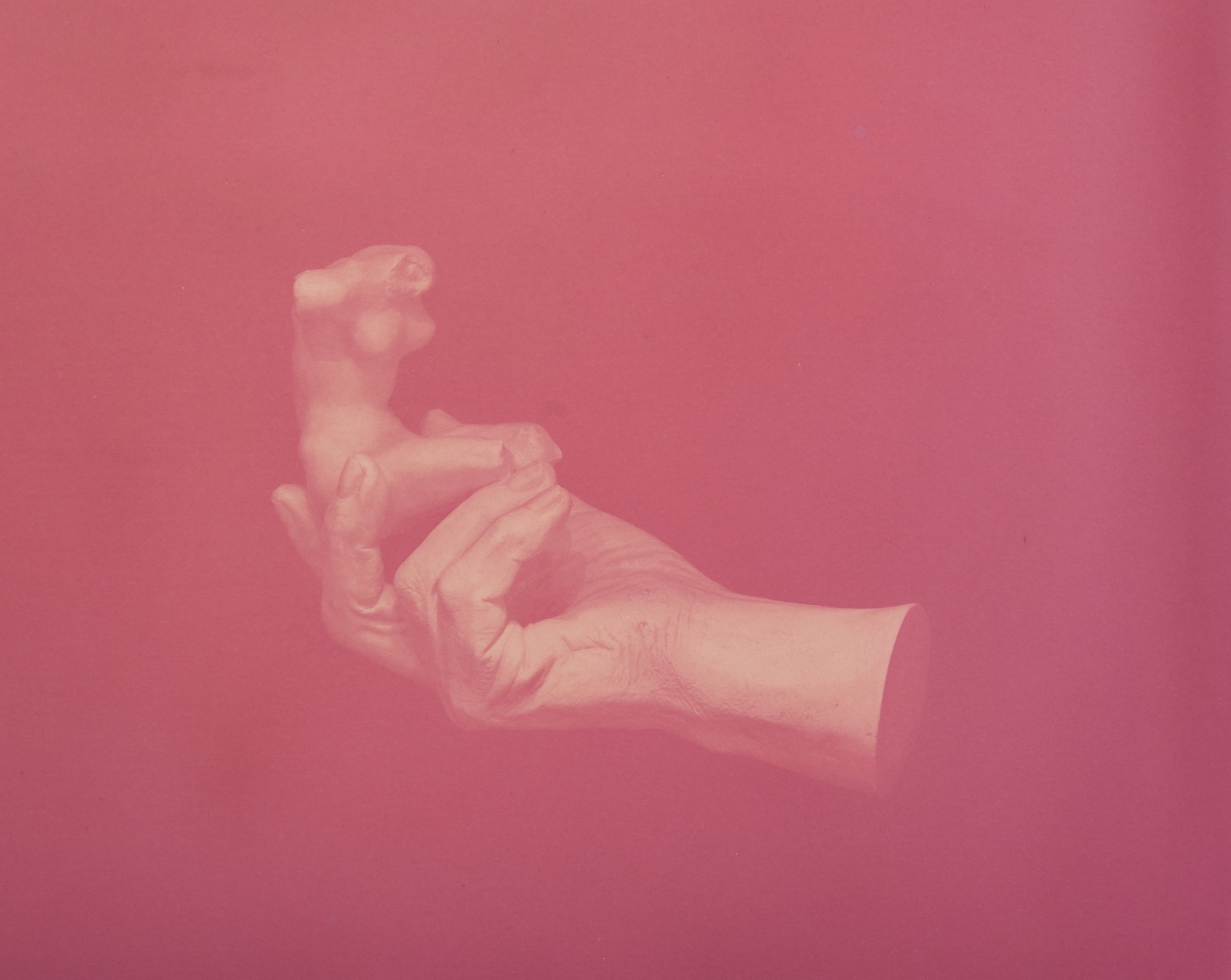    Hand of Rodin Holding a Torso  , 2016 faded amaranth dye on paper (unfixed anthotype) 12 x 15 inches Ed: 3 + 2AP 