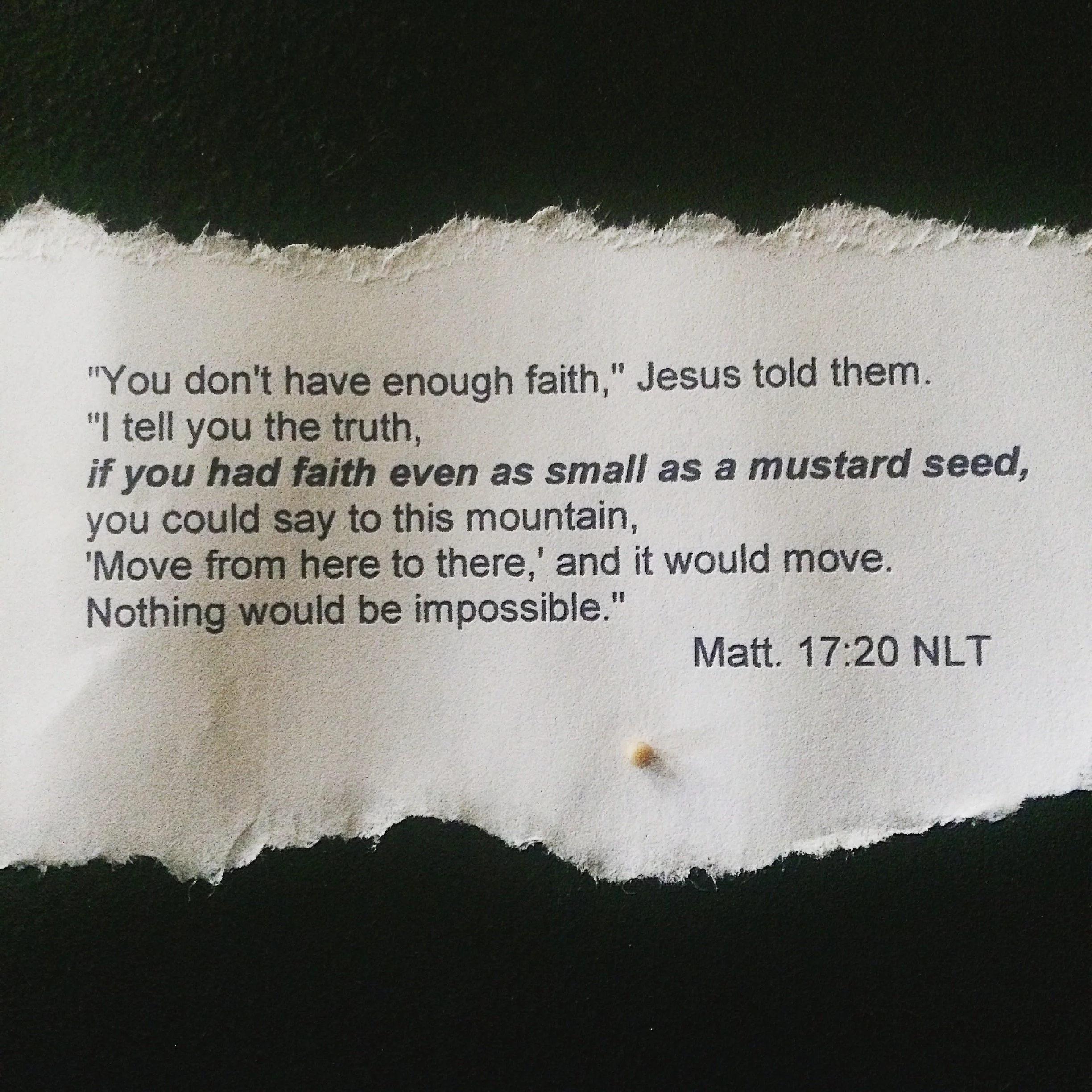 Dayka-Robinson-Mustard-Seed-Faith.jpg