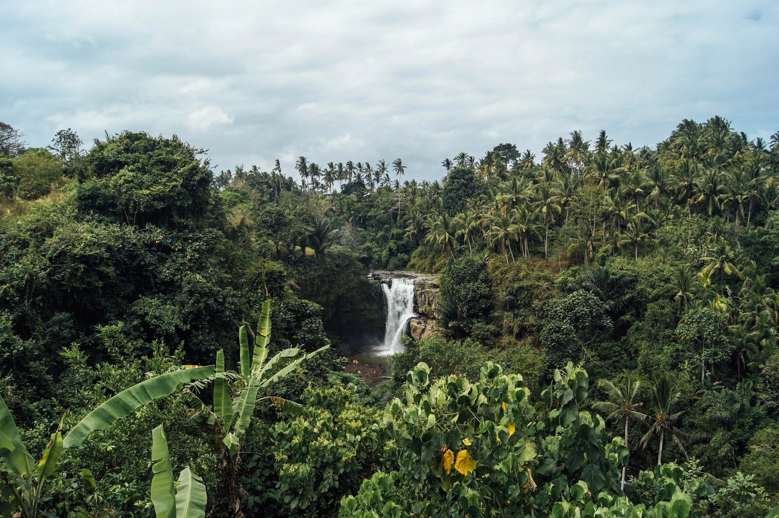 levi-morsy-39294-unsplash.jpg