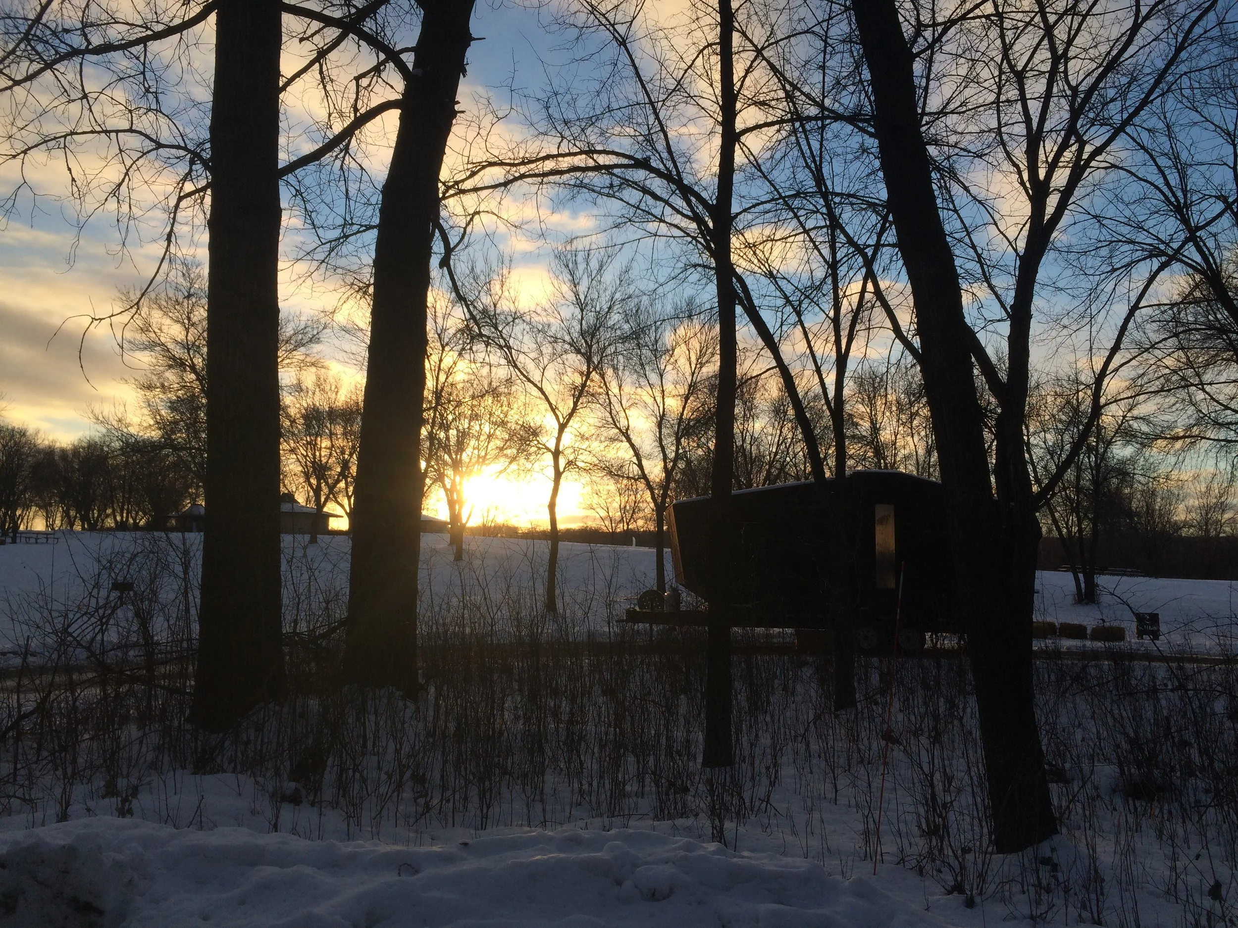 Little Box Sauna at 4Play MSP