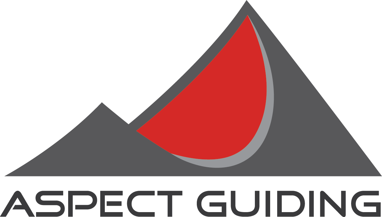 Aspect Guiding