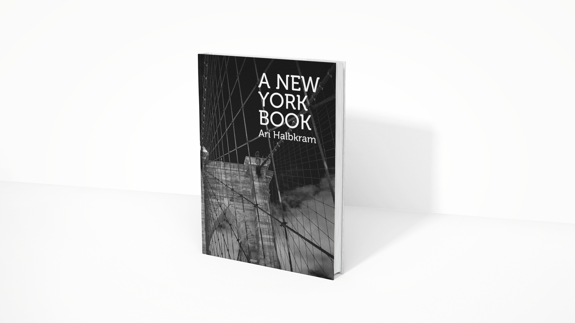 A New York Book white background.png