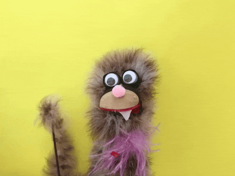 Hazelnut Blvd puppet for GIPHY. 
Currently over 2 billion views.