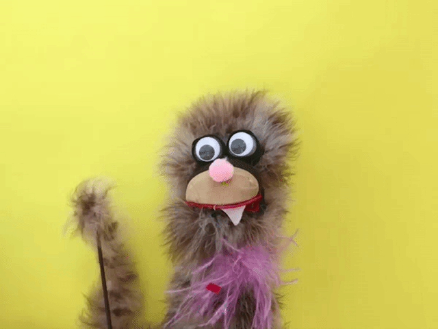 giphy-1.gif