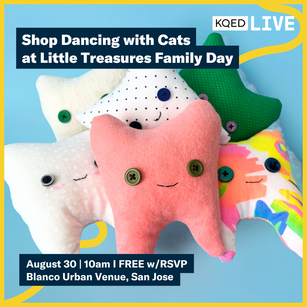 Shop Dancing with Cats at KQED Live Little Treasures Family Day event