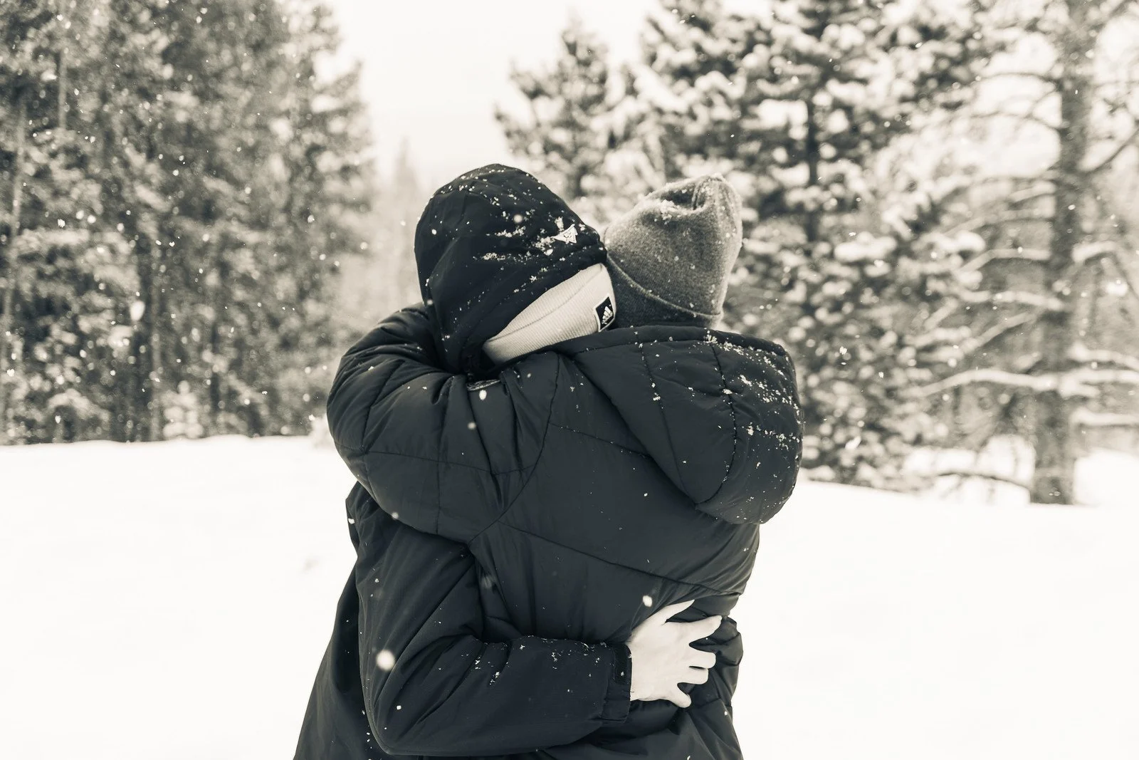 One Horse Open Sleigh-AGP-8.JPG