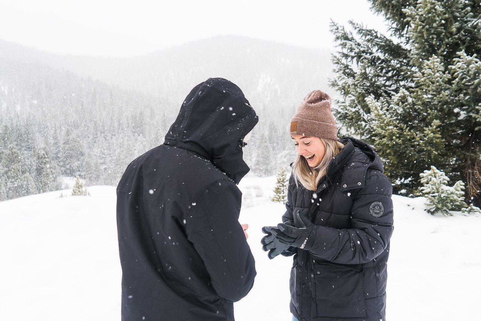 One Horse Open Sleigh-AGP-10.JPG