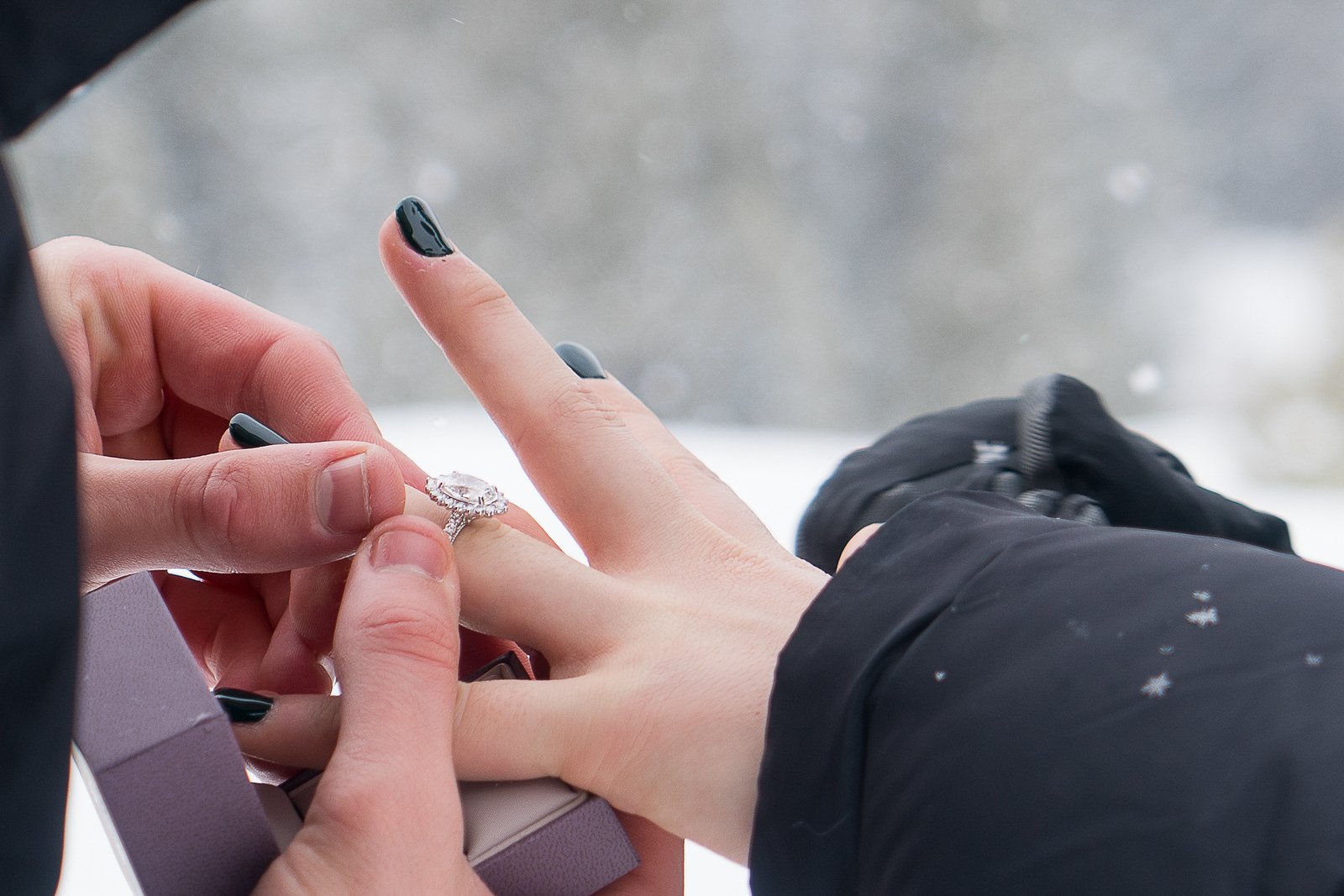 One Horse Open Sleigh-AGP-16.JPG