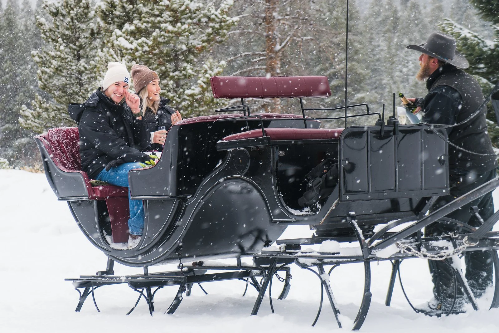 One Horse Open Sleigh-AGP-33.JPG