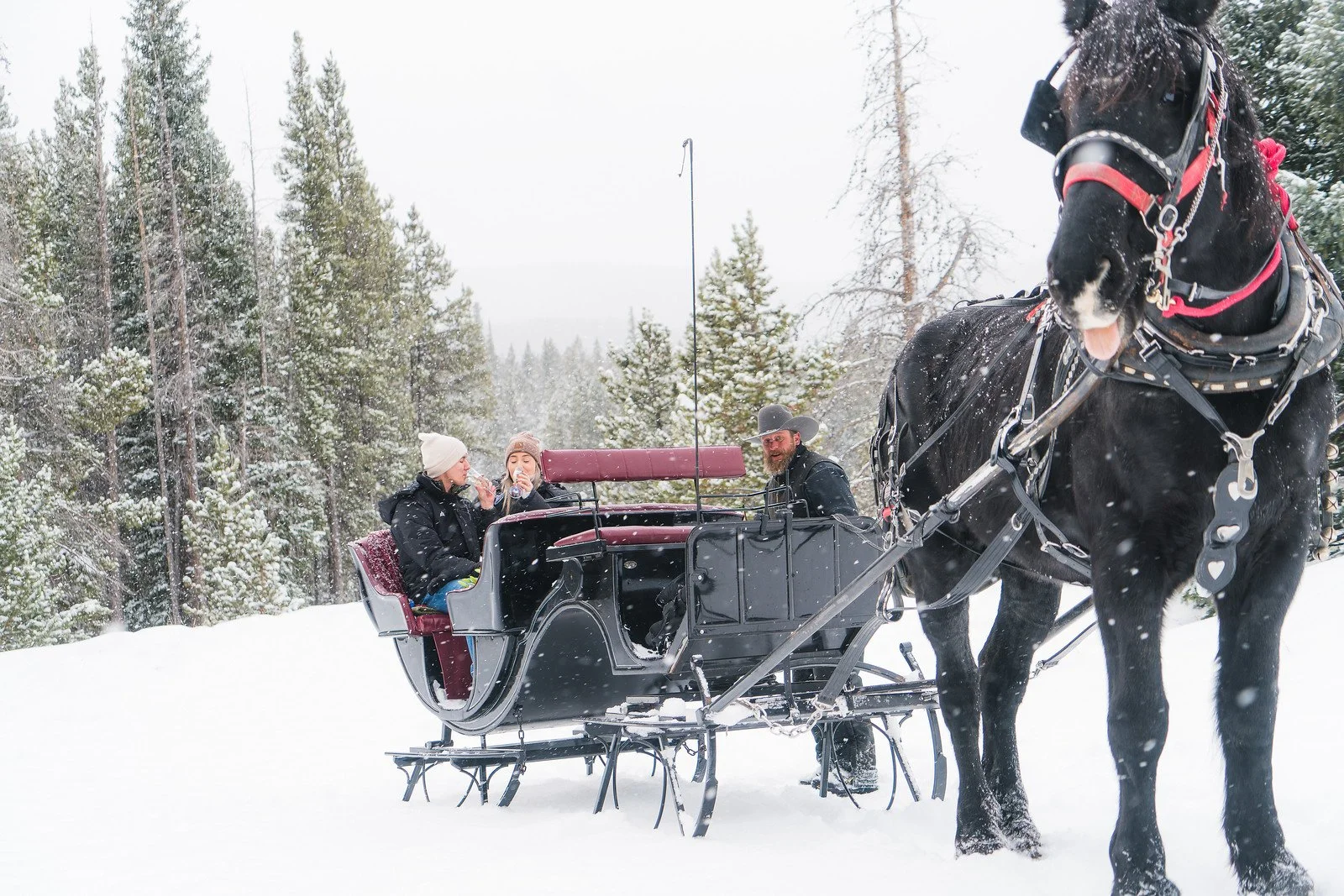 One Horse Open Sleigh-AGP-35.JPG