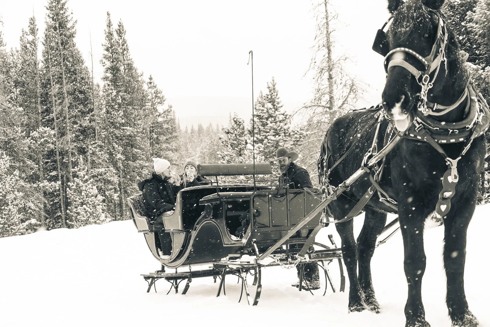 One Horse Open Sleigh-AGP-36.JPG