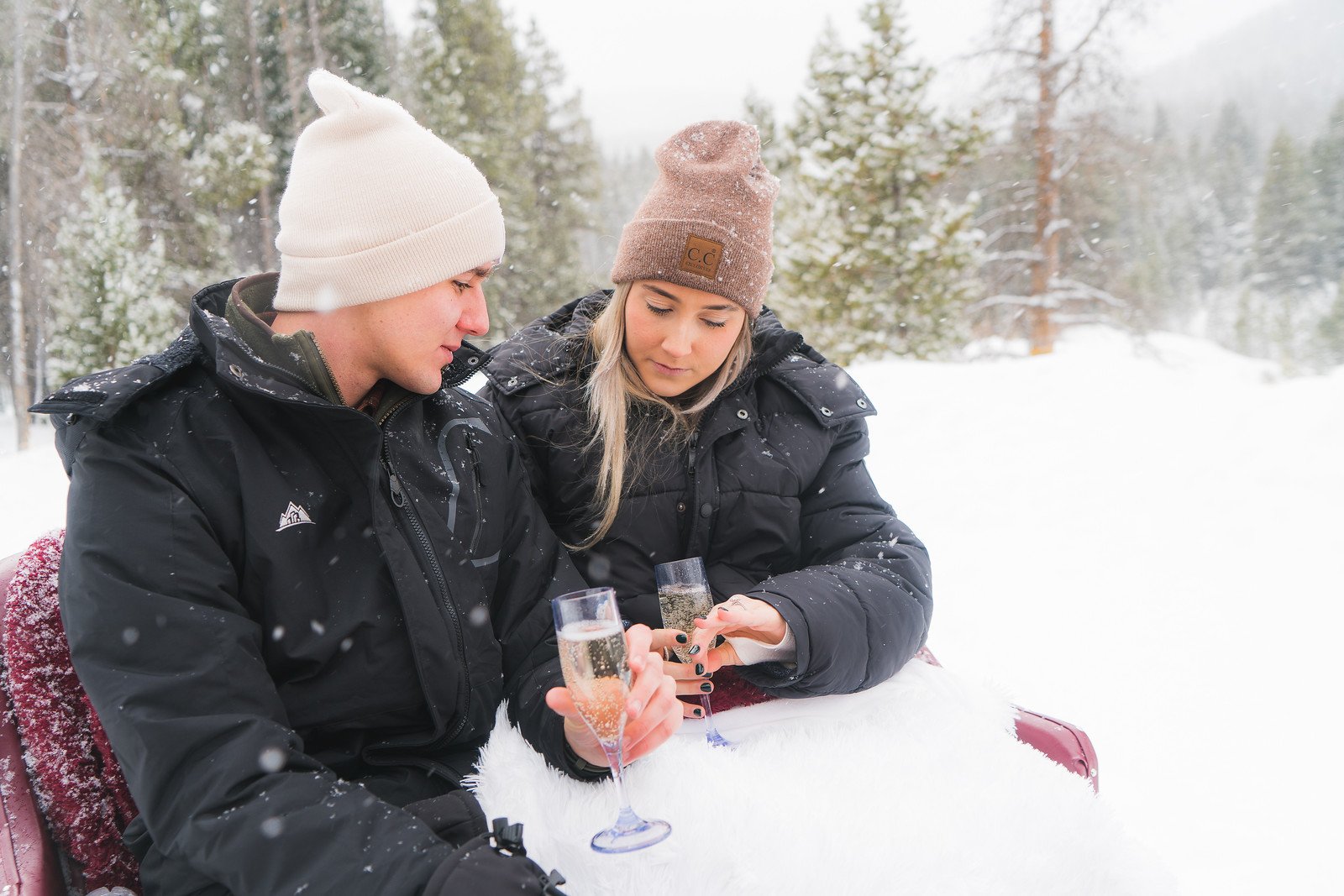 One Horse Open Sleigh-AGP-37.JPG