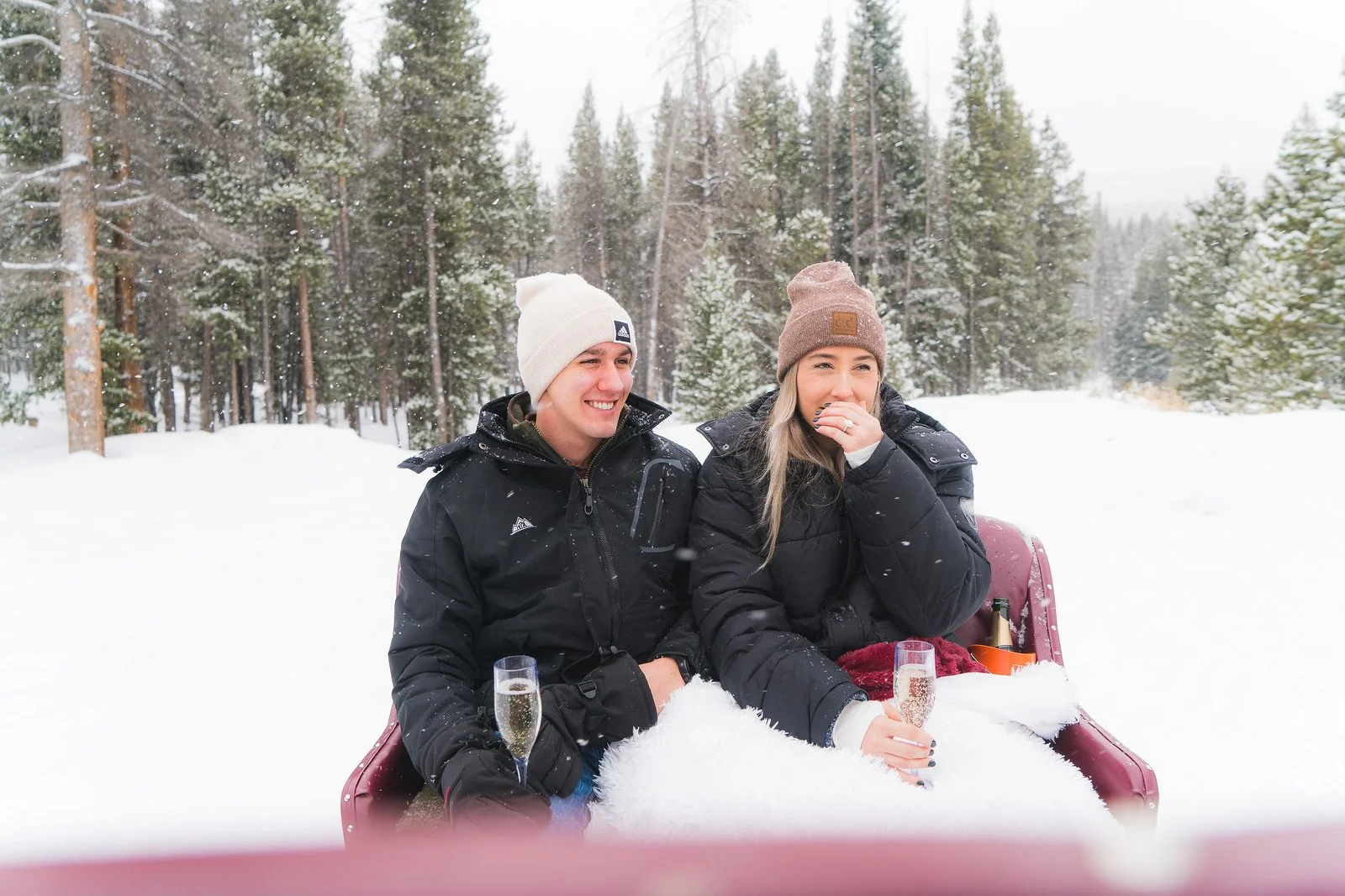 One Horse Open Sleigh-AGP-40.JPG