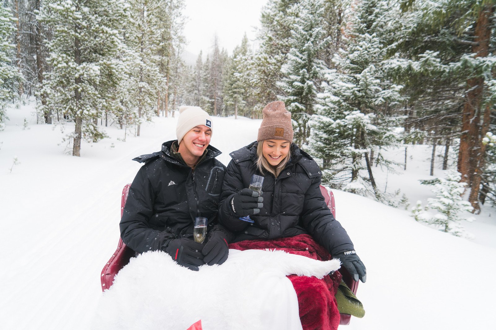 One Horse Open Sleigh-AGP-43.JPG