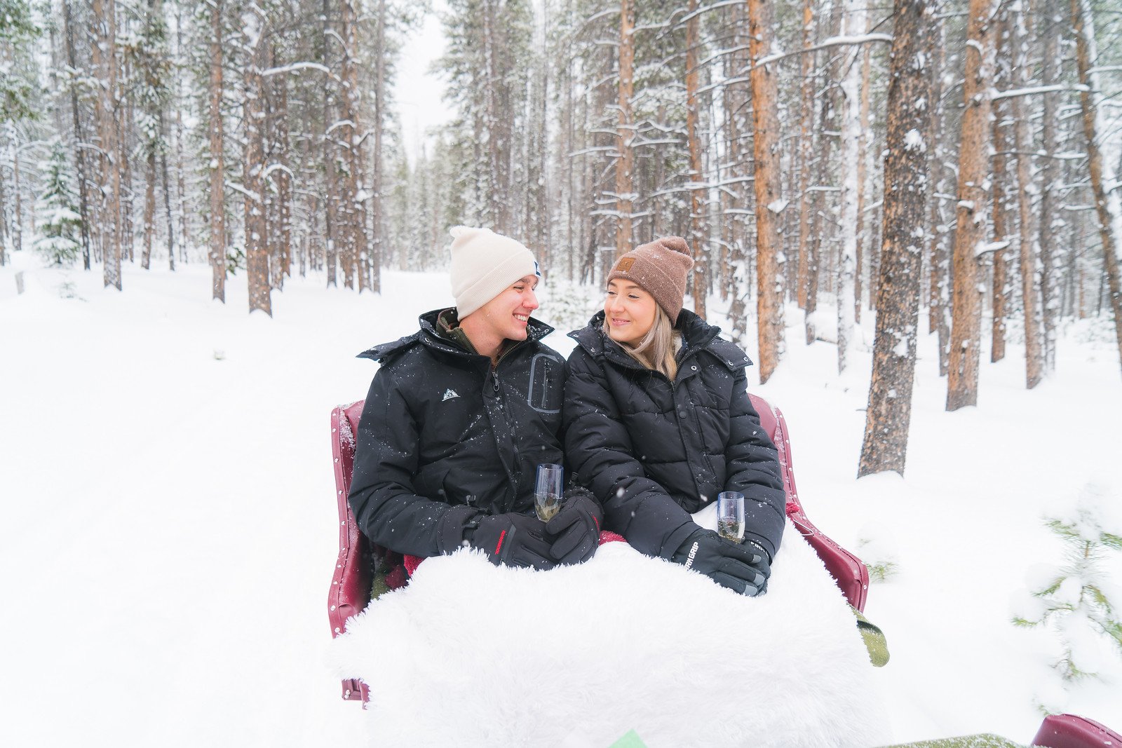 One Horse Open Sleigh-AGP-46.JPG