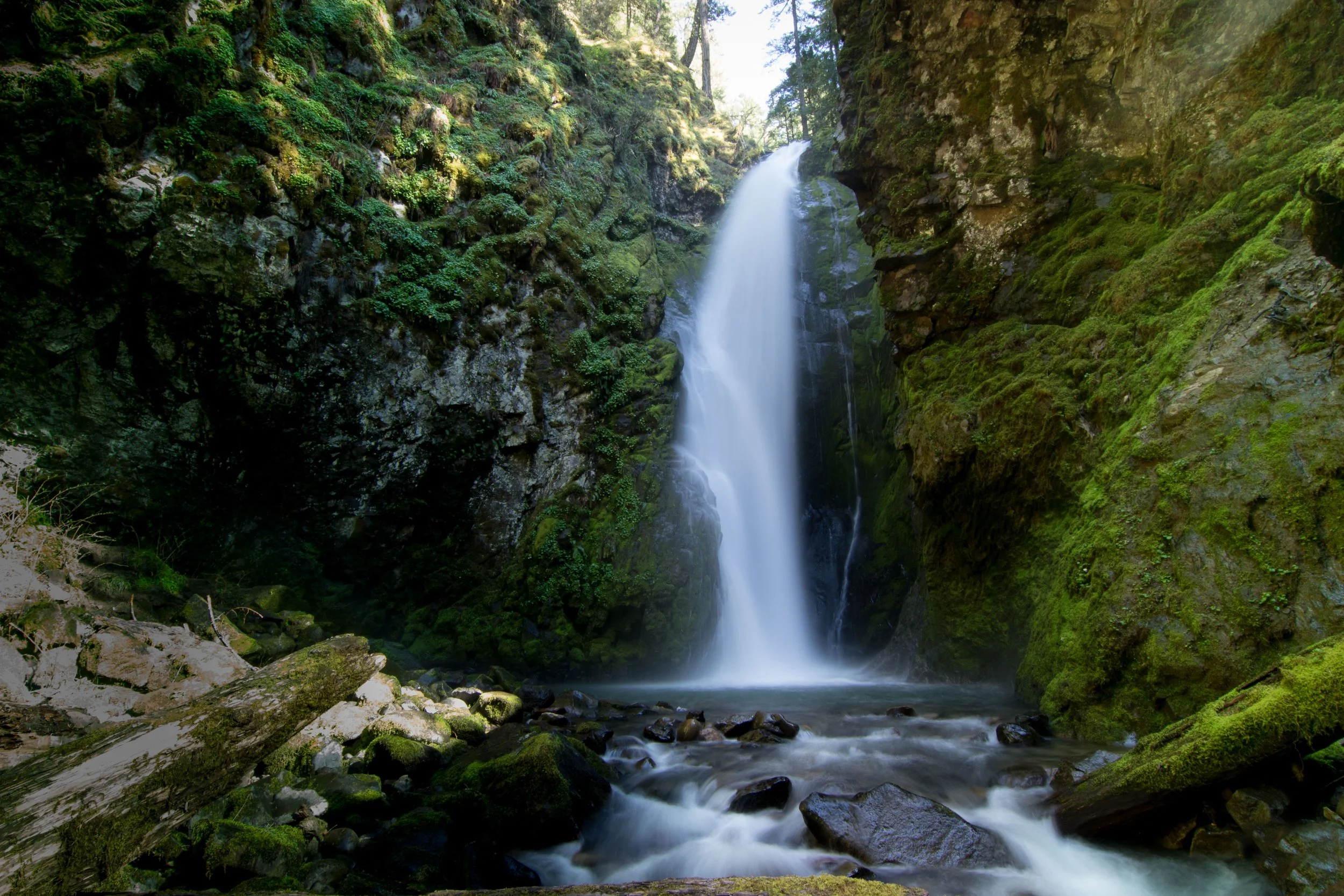 Pinard.TGA (8 of 12).JPG