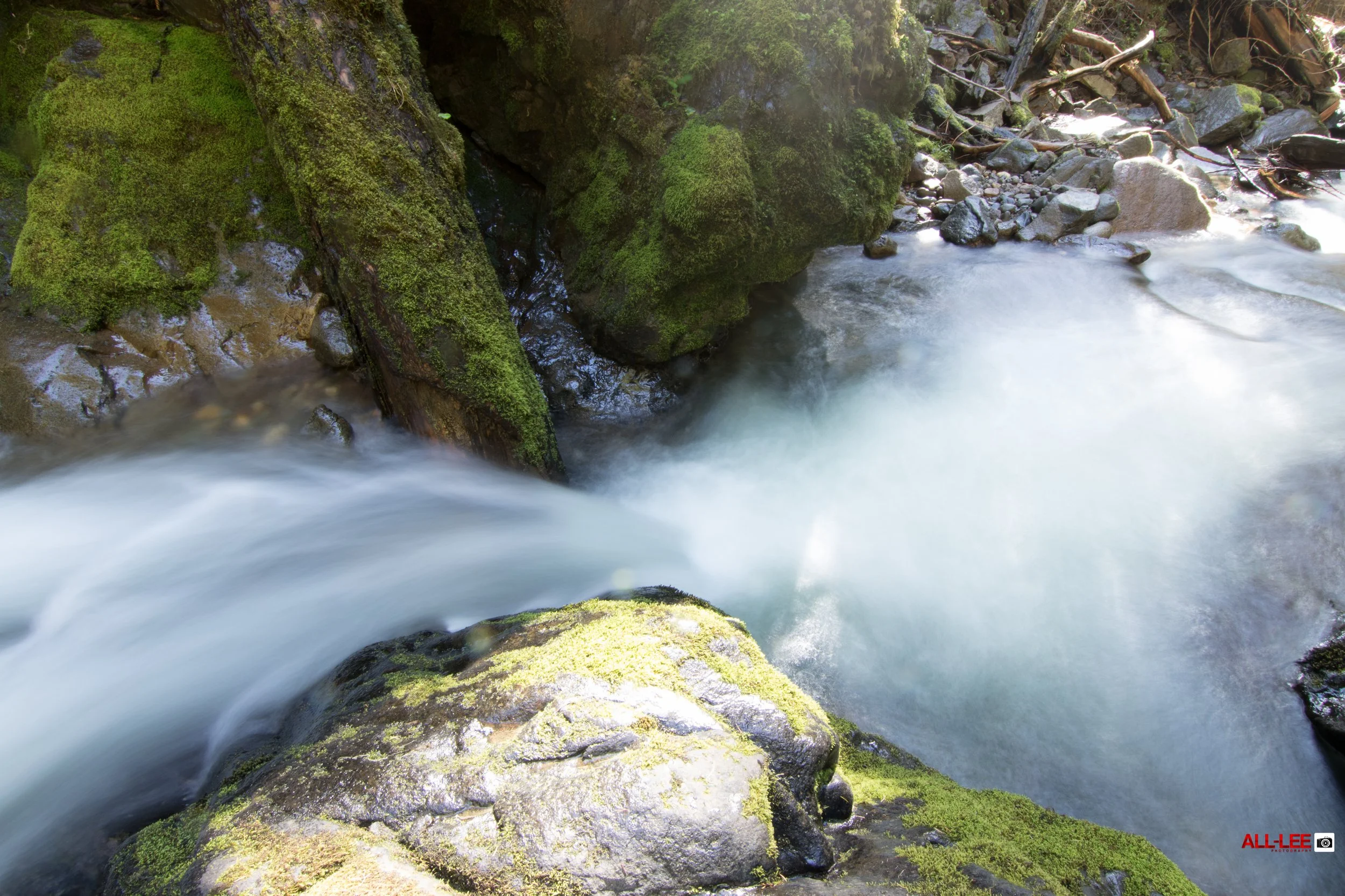 Pinard.TGA (10 of 12).JPG