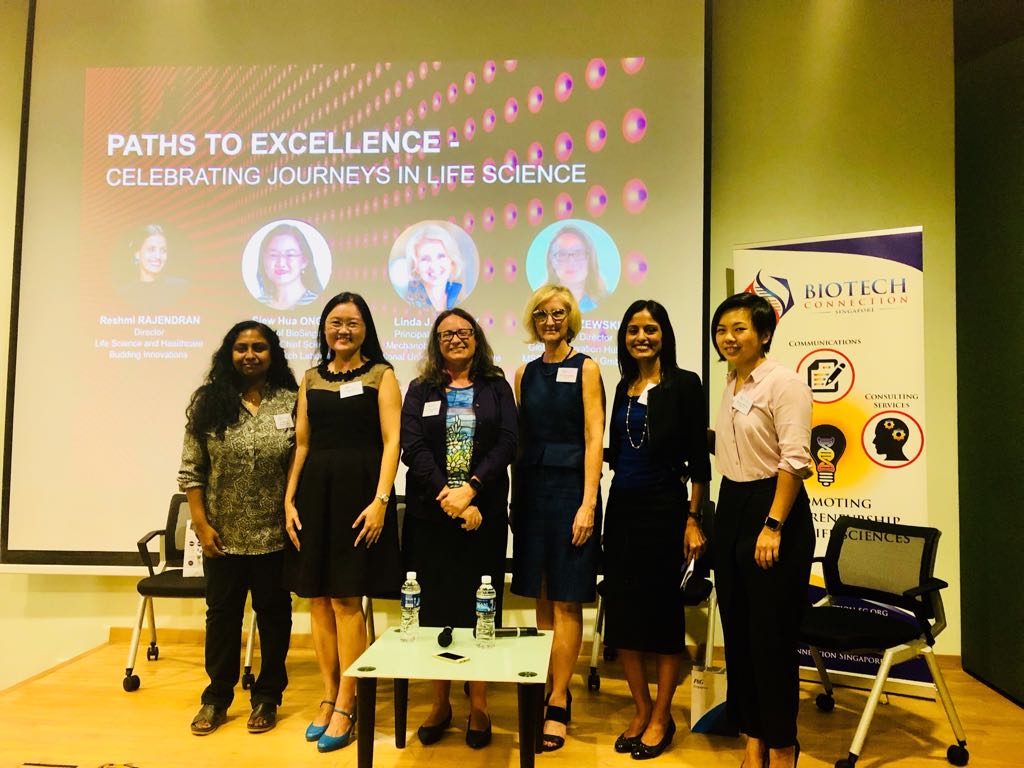 Paths the excellence 7.jpeg