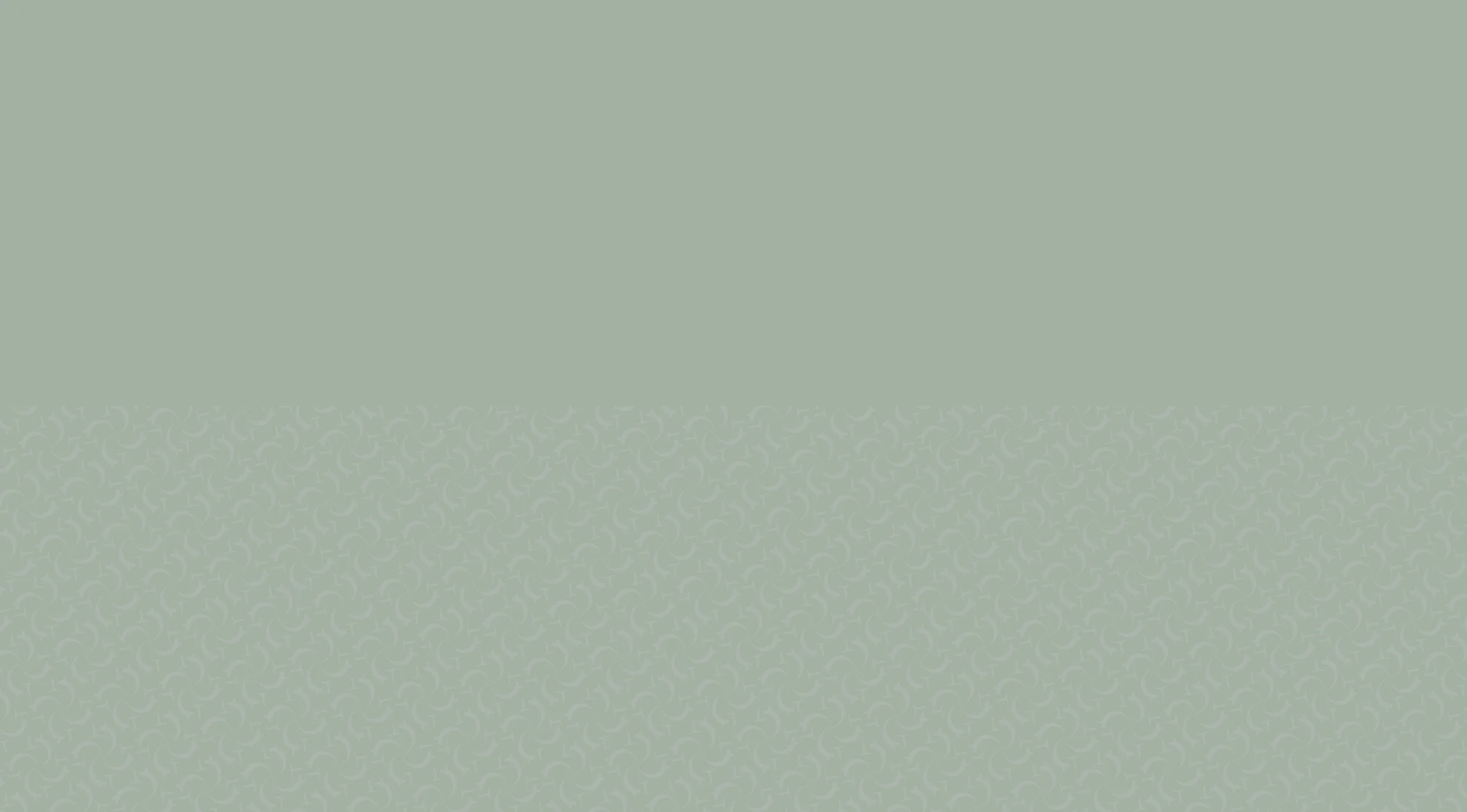 bg pattern-02-02.jpg