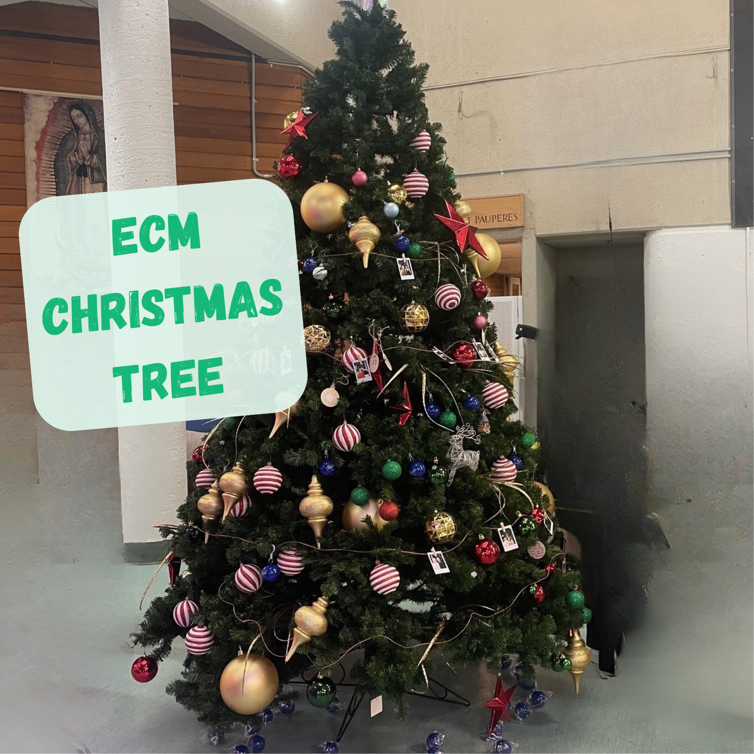 ECM Christmas Tree — Emmanuel Community