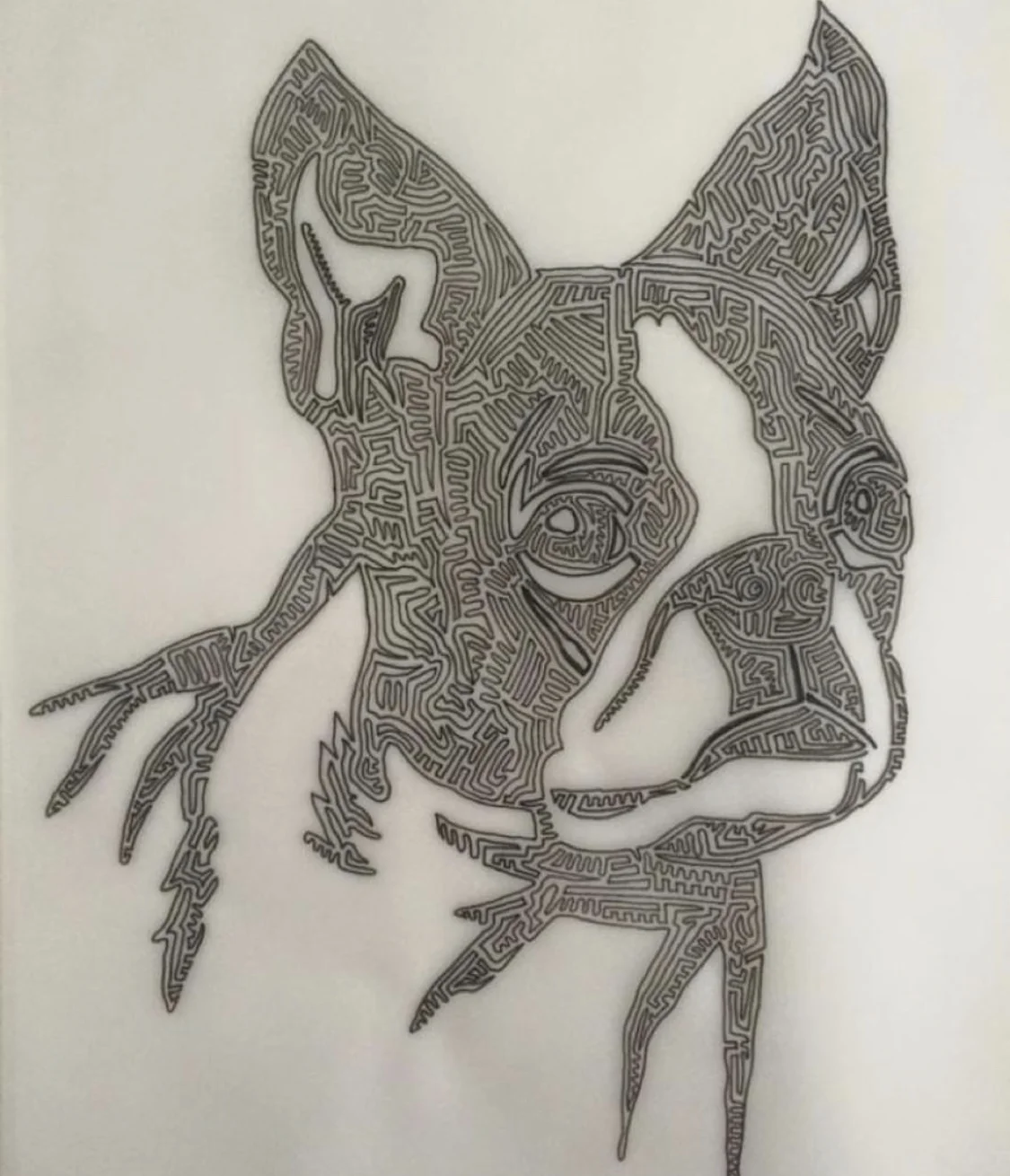 Pup